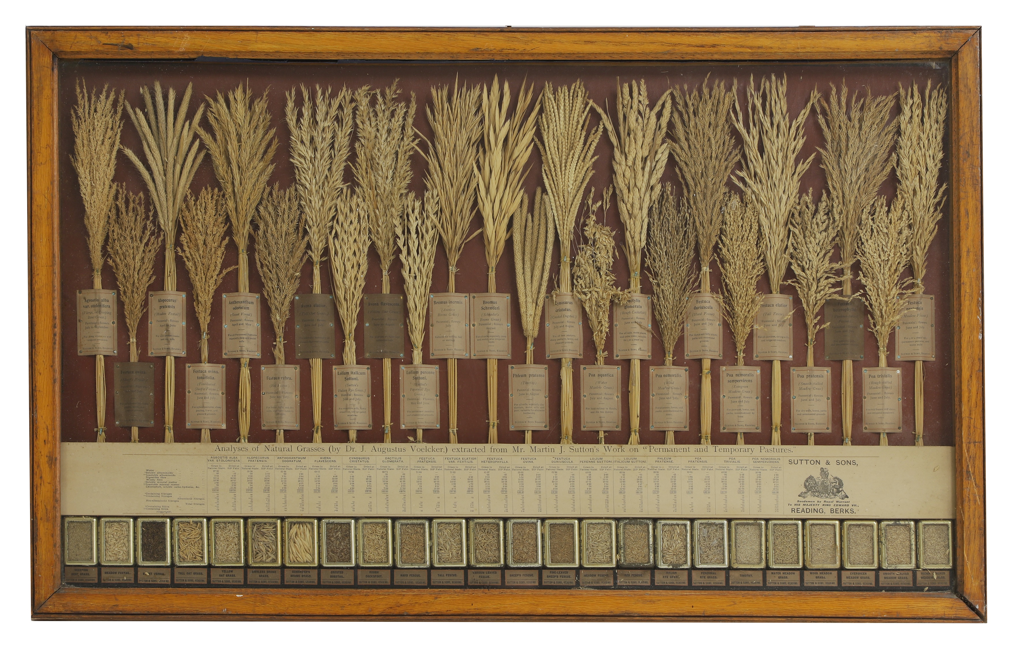 William's Top Lots: A specimen grasses and seeds display (£1,500-2,000)